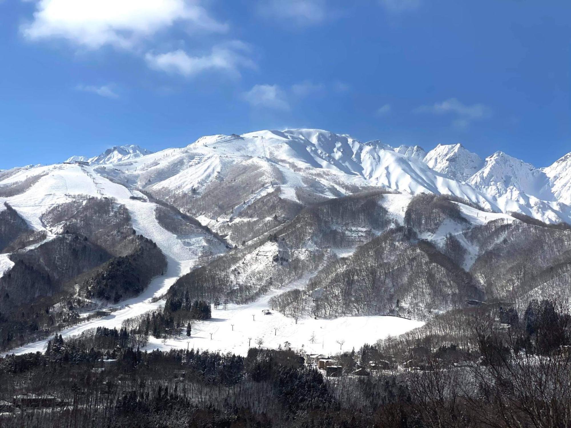 Vila Winterfell Hakuba Exteriér fotografie